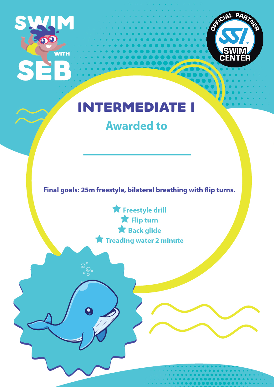 Intermediate Certificate 1